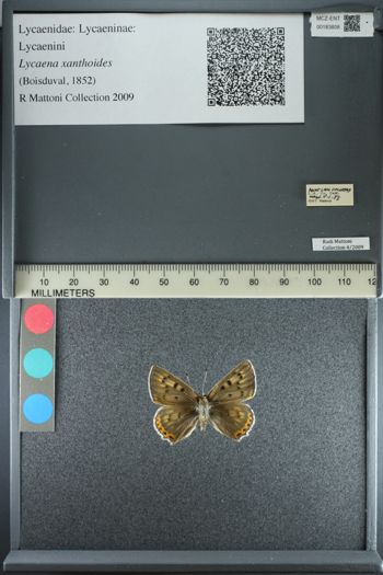Media type: image;   Entomology 183808